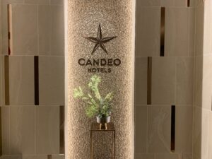 https://tabisauna.com/saitama/hotel-candeohotels/